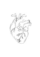 Heart Anatomy Line Art | Lag din egen plakat