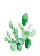 Cactus Watercolor Art | Lag din egen plakat