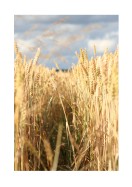 Wheat Field | Lag din egen plakat