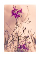 Purple Flowers Close-Up | Lag din egen plakat