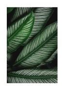 Green Leaves Pattern | Lag din egen plakat