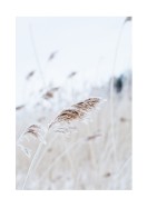 Reeds In Winter | Lag din egen plakat
