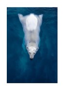 Swimming Polar Bear | Lag din egen plakat