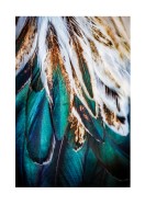 Colorful Feathers | Lag din egen plakat