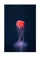 Vibrant Jellyfish In The Ocean | Lag din egen plakat