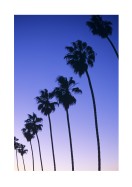 Palm Trees At Sunset In California | Lag din egen plakat