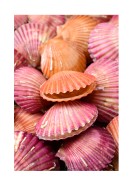 Pink Sea Shells | Lag din egen plakat