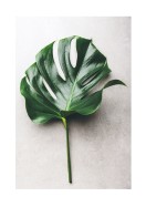 Monstera Leaf | Lag din egen plakat