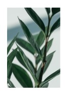 Green Plant Close-up | Lag din egen plakat