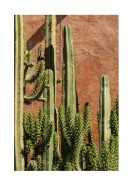 Cactus Plant In The Sun | Lag din egen plakat