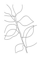 Botanical Line Art | Lag din egen plakat