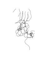 Grapes Line Art | Lag din egen plakat