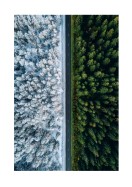 A Forest In Summer And Winter | Lag din egen plakat