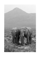 Two Elephants In Black And White | Lag din egen plakat