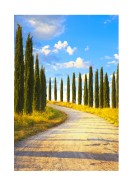 Cyprus Trees In Italy | Lag din egen plakat